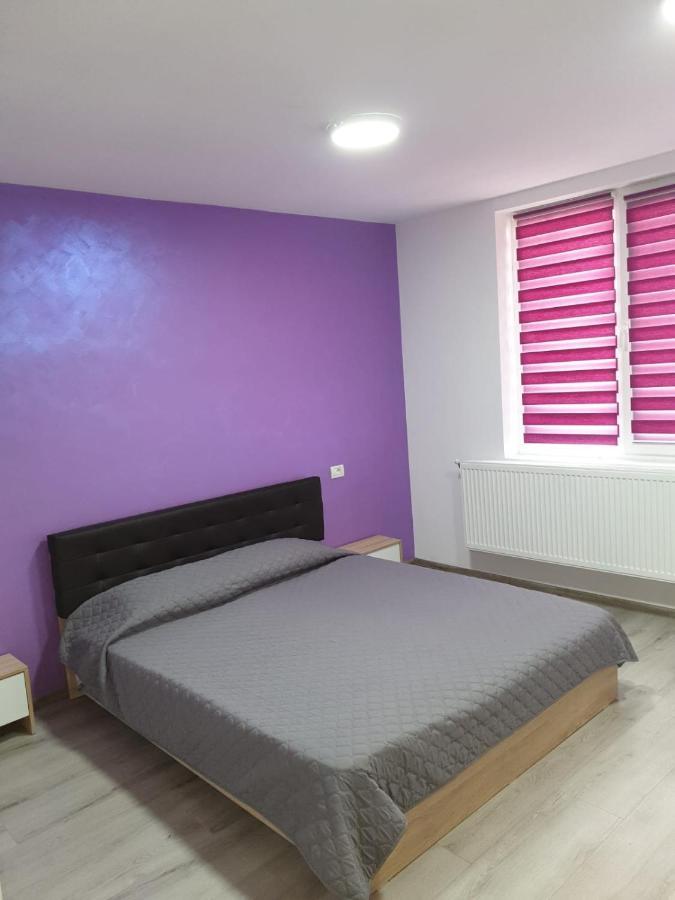 Bîrlad Apartament Negris מראה חיצוני תמונה